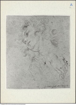 Vorderseite von bh291565_recto