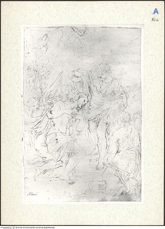 Vorderseite von bh291566_recto