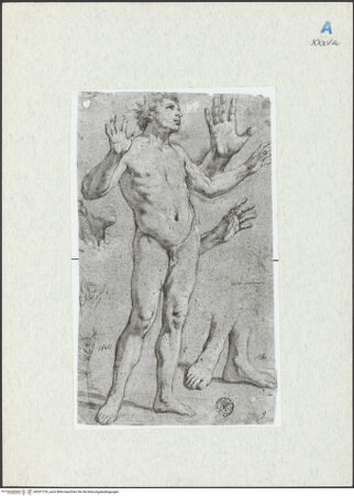 Vorderseite von bh291724_recto