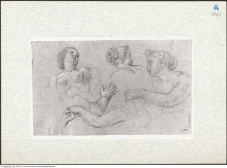 Vorderseite von bh291743_recto