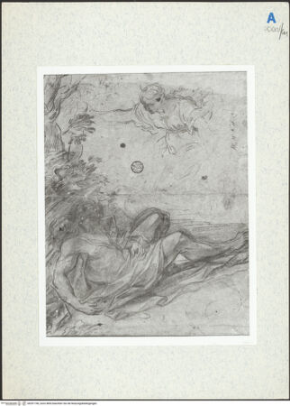 Vorderseite von bh291746_recto