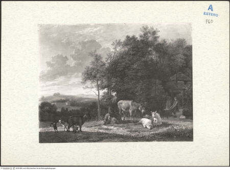 Vorderseite von bh291885_recto