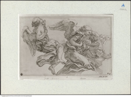 Vorderseite von bh291983_recto