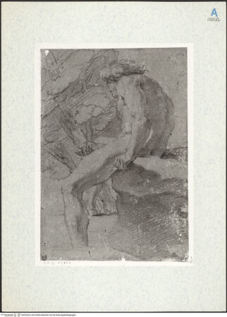 Vorderseite von bh292024_recto