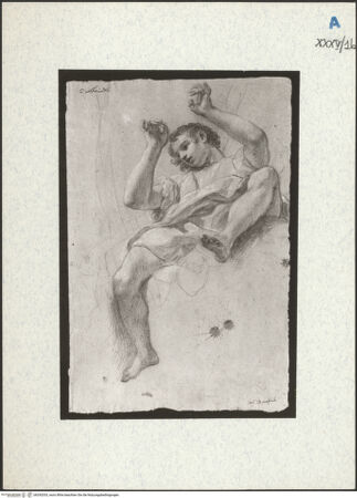 Vorderseite von bh292033_recto