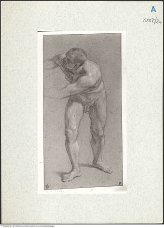 Vorderseite von bh292036_recto