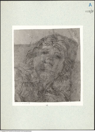 Vorderseite von bh292039_recto