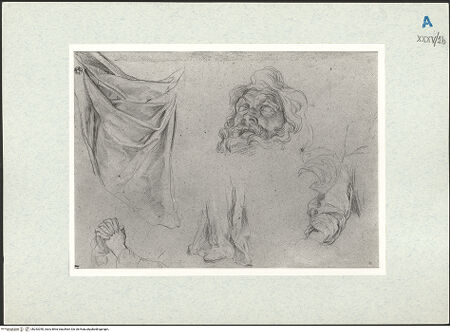 Vorderseite von bh292040_recto