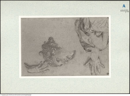 Vorderseite von bh292052_recto