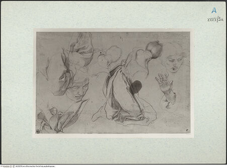 Vorderseite von bh292054_recto