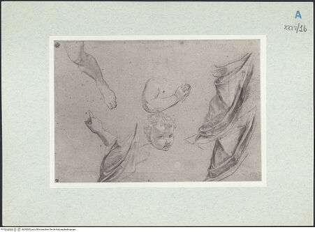 Vorderseite von bh292055_recto