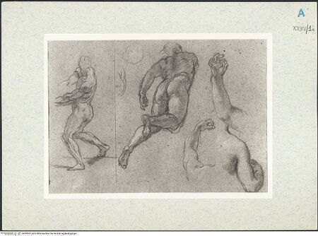 Vorderseite von bh292057_recto