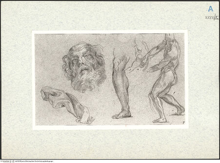 Vorderseite von bh292058_recto