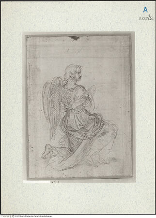 Vorderseite von bh292059_recto