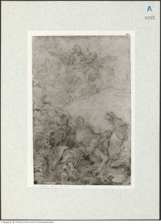 Vorderseite von bh292065_recto