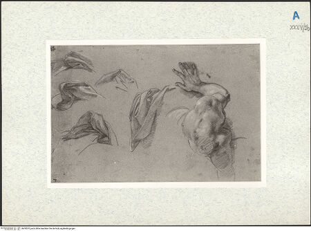 Vorderseite von bh292075_recto