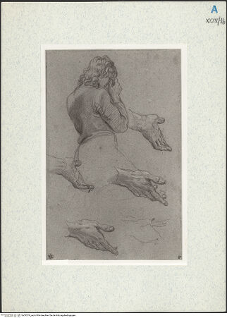 Vorderseite von bh292076_recto