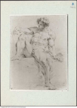 Vorderseite von bh292079_recto