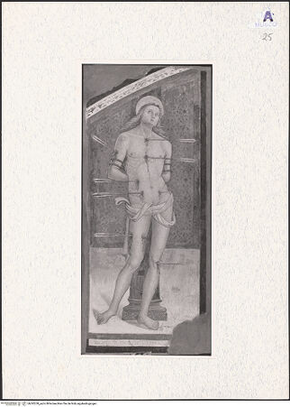 Vorderseite von bh292230_recto