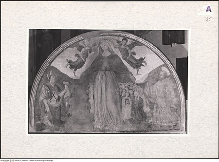 Vorderseite von bh292231_recto