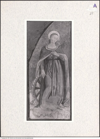 Vorderseite von bh292235_recto