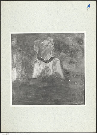 Vorderseite von bh292247_recto