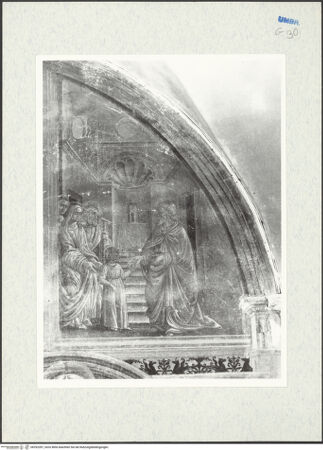 Vorderseite von bh292287_recto