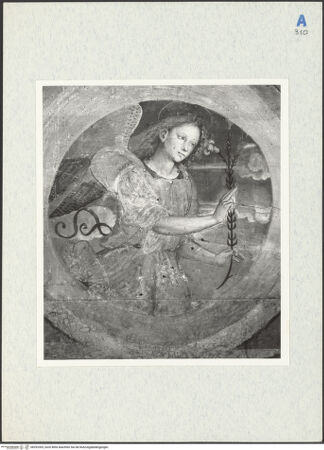 Vorderseite von bh292305_recto