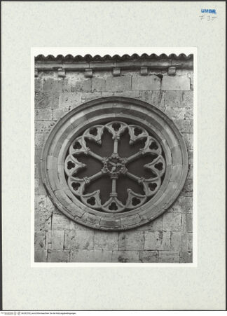 Vorderseite von bh292355_recto