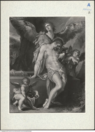 Vorderseite von bh292370_recto