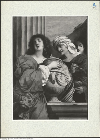 Vorderseite von bh292455_recto