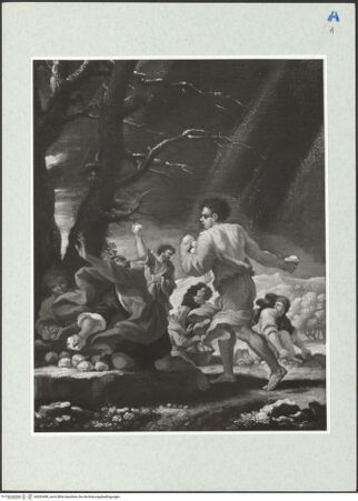 Vorderseite von bh292498_recto