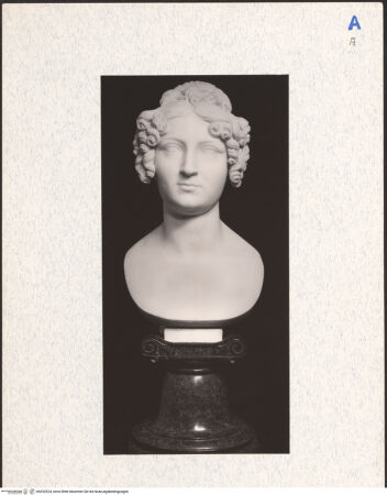 Vorderseite von bh292524_recto