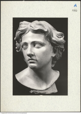 Vorderseite von Heim Gallery? [https://www.deutsche-digitale-bibliothek.de/content/lizenzen/rv-ez/] Kopf eines Engels - , bh292548_recto. Foto.