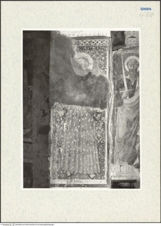 Vorderseite von bh292568_recto