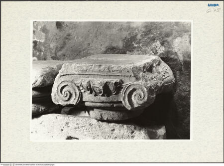 Vorderseite von bh292569_recto