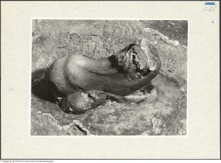 Vorderseite von bh292575_recto