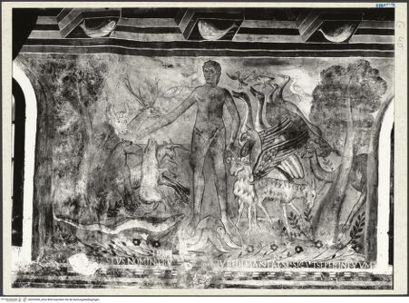 Vorderseite von bh292590_recto