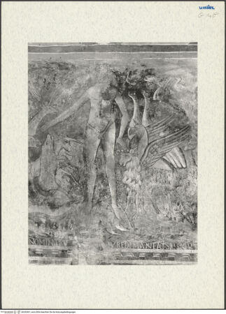 Vorderseite von bh292601_recto