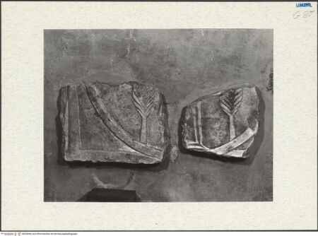 Vorderseite von bh292698_recto