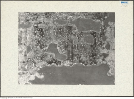 Vorderseite von bh292699_recto