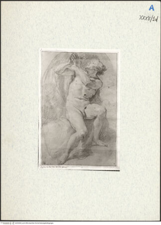 Vorderseite von bh292849_recto