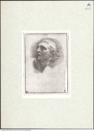 Vorderseite von bh292854_recto