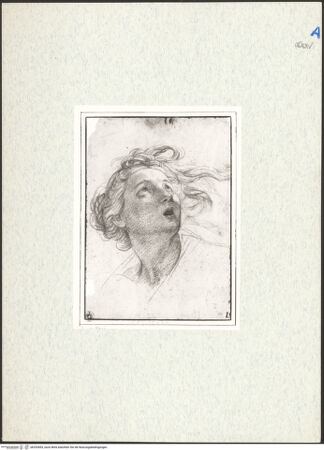 Vorderseite von bh292855_recto