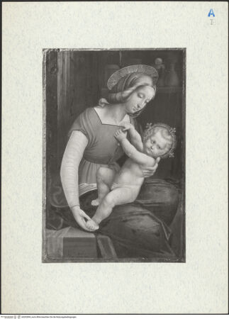 Vorderseite von bh292894_recto