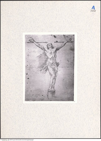 Vorderseite von bh293156_recto