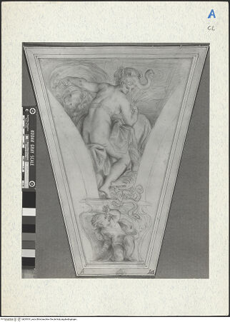 Vorderseite von bh293181_recto