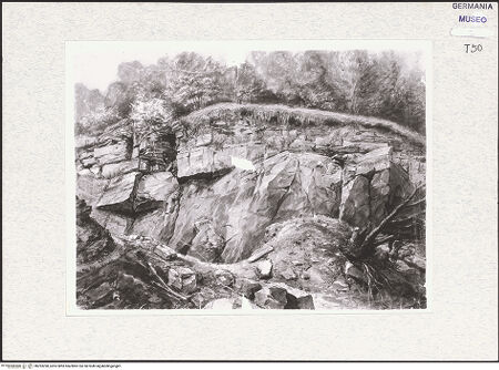 Vorderseite von bh293298_recto