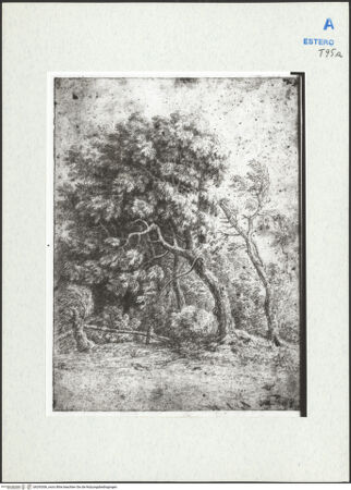 Vorderseite von bh293306_recto