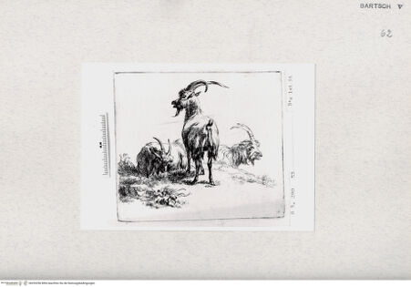 Vorderseite von  [http://creativecommons.org/publicdomain/mark/1.0/] ... - , bh293356. Foto.